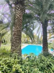 Home2Sea - Studio Cabin, Pool, Garden, 2 Adults + 3 Children - Pools