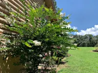 Wild Vines Log Cabin .5miles from Ky Lake, Hot Tub, Pool Table, 1500sqft Venue! - 2-Star