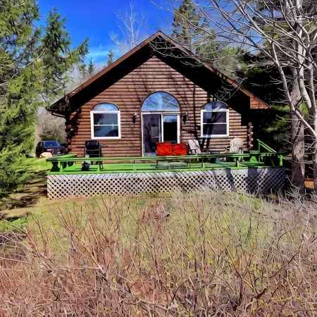 Charming cabin in phenomenal Seal Cove ME