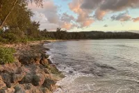 Hidden Gem! Turtle Bay Hideaway