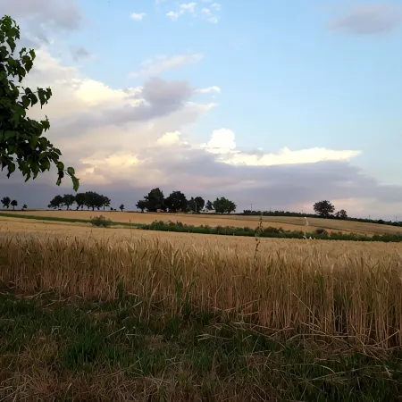 Apartment with garden between Perugia and Assisi