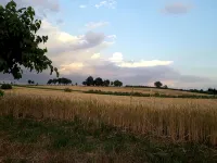 Apartment with garden between Perugia and Assisi - บังกะโล