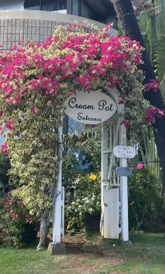 30th Waikīkī Oceanview Studio B • Free Beach Gear • Kitchenette • Pool • 2G - สระว่ายน้ำส่วนตัว