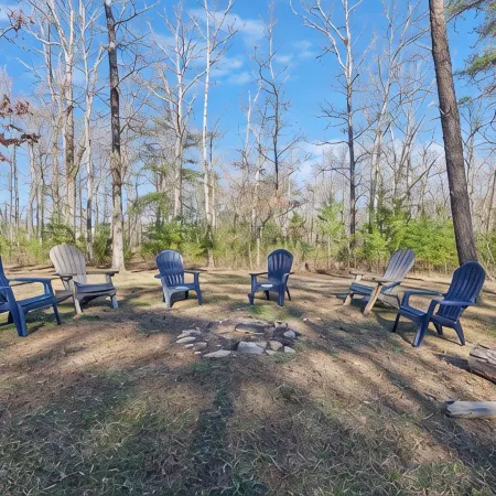 Escape to Nature - Historic Monteagle Hiking