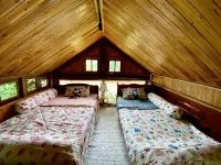 Chapi Dreamy Home - 4-Star
