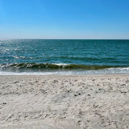 Beautiful Chatham, Sun Sand & Surf. 8/10 mile to beaches ,pet friendly home