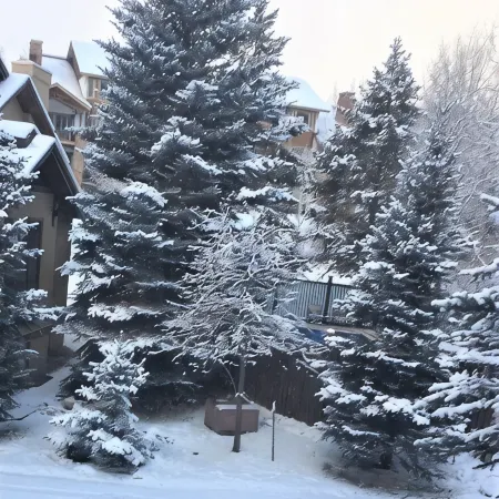Mountain 4bed 5bath Townhome w Pool, Hot tub, Shuttle, just steps to base.