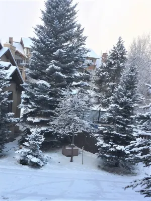 Mountain 4bed 5bath Townhome w Pool, Hot tub, Shuttle, just steps to base.