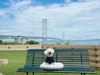 AWAI DOG STAY - 2 Yıldız