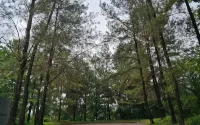 Aldeoz Villa Sentul - Villas