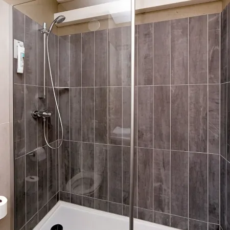 Ibis Toulouse Purpan