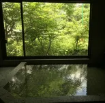 Miyori Furusato Taikenmura