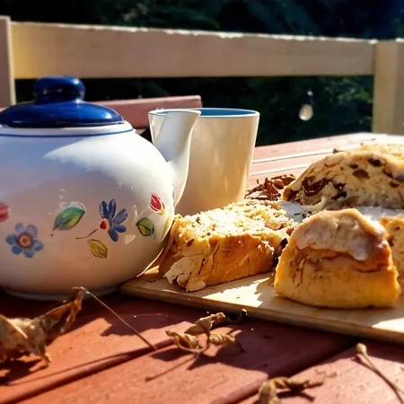 Idyllwylde: Pet-Friendly, Renovated Vintage  Cabin, Close to Town and River