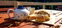 Idyllwylde: Pet-Friendly, Renovated Vintage  Cabin, Close to Town and River - WiFi