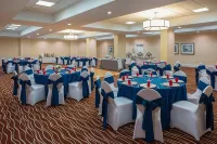 Four Points by Sheraton Suites Tampa Airport Westshore - bar