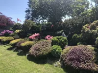 Quiet, private, bungalow w fenced yard. - ジム