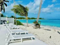 Blessing on the Bay - Brand New 4 bedroom Luxury Beachfront house -  Ferienhäuser