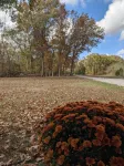 Private cabin located on 7 acres in the country - Feriehus
