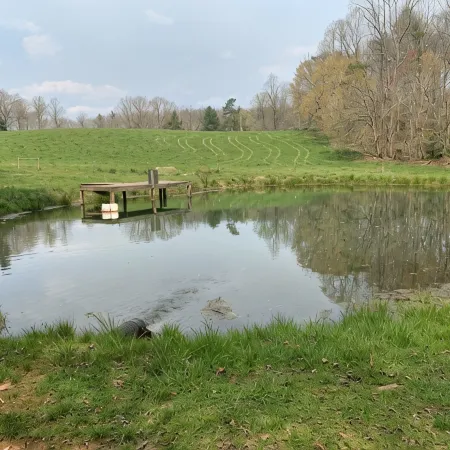Private, Secluded, Relaxing Cabin.   1853Ask about Wedding Opportunities!