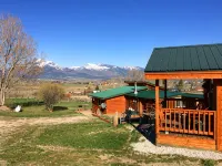 'Wolf Den'-A Perfect Romantic Honeymoon cabin and a Sportsman's Paradise Cabin - Chalets