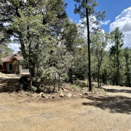 Forest Home-Panoramic Pine Views/Arcade/Spa/Games