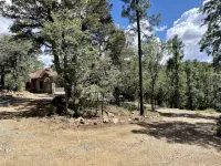 Forest Home-Panoramic Pine Views/Arcade/Spa/Games - Hytter