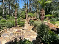 Gorgeous 5-bedroom country house in Cypress, Houston with Outdoor pool and SPA - Wifi