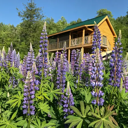Isolated Log Cabin with Panoramic Views of Cherry Pond and White Mountains