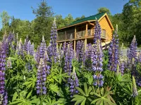 Isolated Log Cabin with Panoramic Views of Cherry Pond and White Mountains - Chalets
