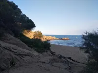 Can Cocollona - Pet-friendly