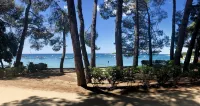 Picturesque "SONNE" vacation apartment with large pool and beautiful garden - Pools