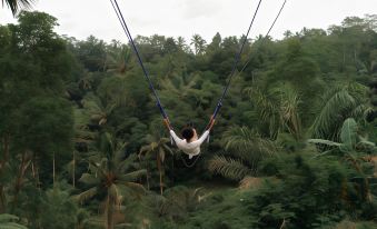 Bobocabin Ubud, Bali