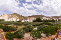 아파르타멘토스 라 수에르테