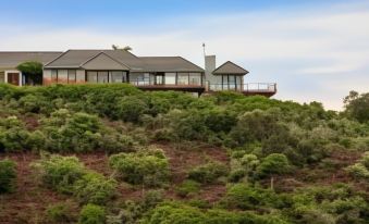 Simbavati Fynbos on Sea Cottage