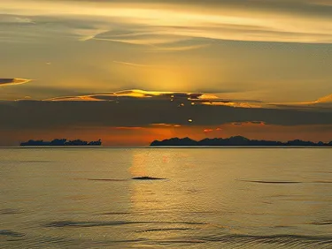 รูปภาพของโคโค่ คาโนปี้ บูทิค รีสอร์ท 