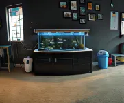 Monkey Mind Hostel - صديق للحيوانات الاليفة
