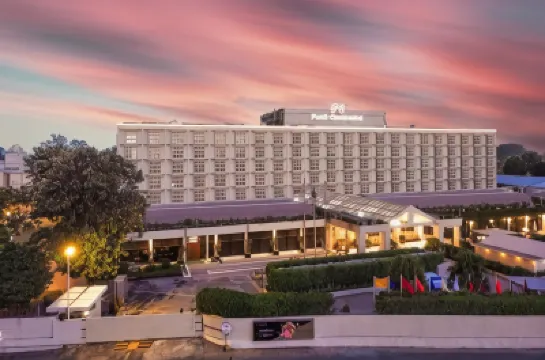 بيرل كونتينينتال راوال بيندي فنادق في 