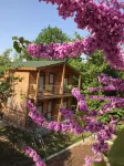 Mars Otel Hotels in Sehitlik Koyu