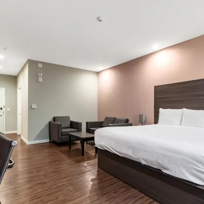 Scottish Inns & Suites Houston, TX Hotels near Fallbrook Church
