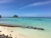 Shanaz Beachside Retreat Hotels in Anse Royale