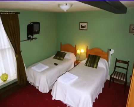 The Talbot Hotel Hotels in Welshpool