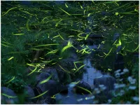 Takimien Hoteles en Ōtaki