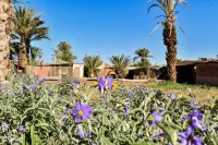 FERME DAR CHARACH luxury tent in the heart of the palm grove