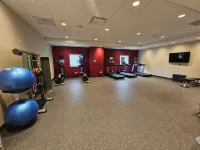Home2 Suites by Hilton Allentown Bethlehem Airport - Gym