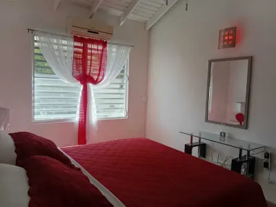 Charming 2-bedroom house with WiFi, AC in amazing Cane Garden Bay のホテル