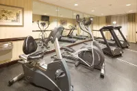 Holiday Inn Express & Suites GADSDEN W-NEAR ATTALLA by IHG - Gym