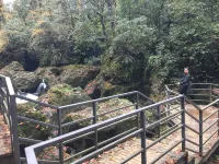 Yingjing Xinxin Leisure Farm - 2-Star