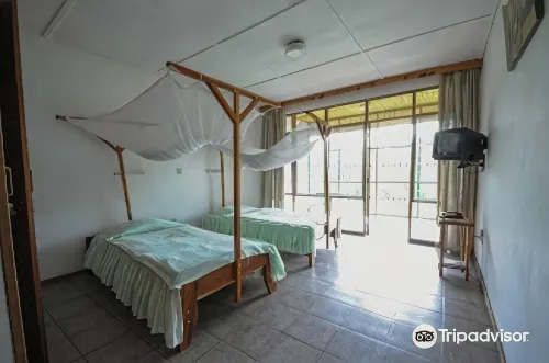 St. Eugene's Hostel - Интернет