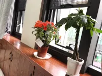 โรงแรมเต๋อหยวน - อพาร์ทเม้นท์