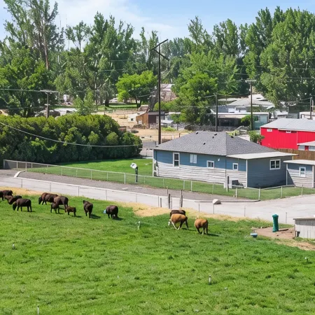 Ample Parking, Farm Experience, Pet-Friendly Home